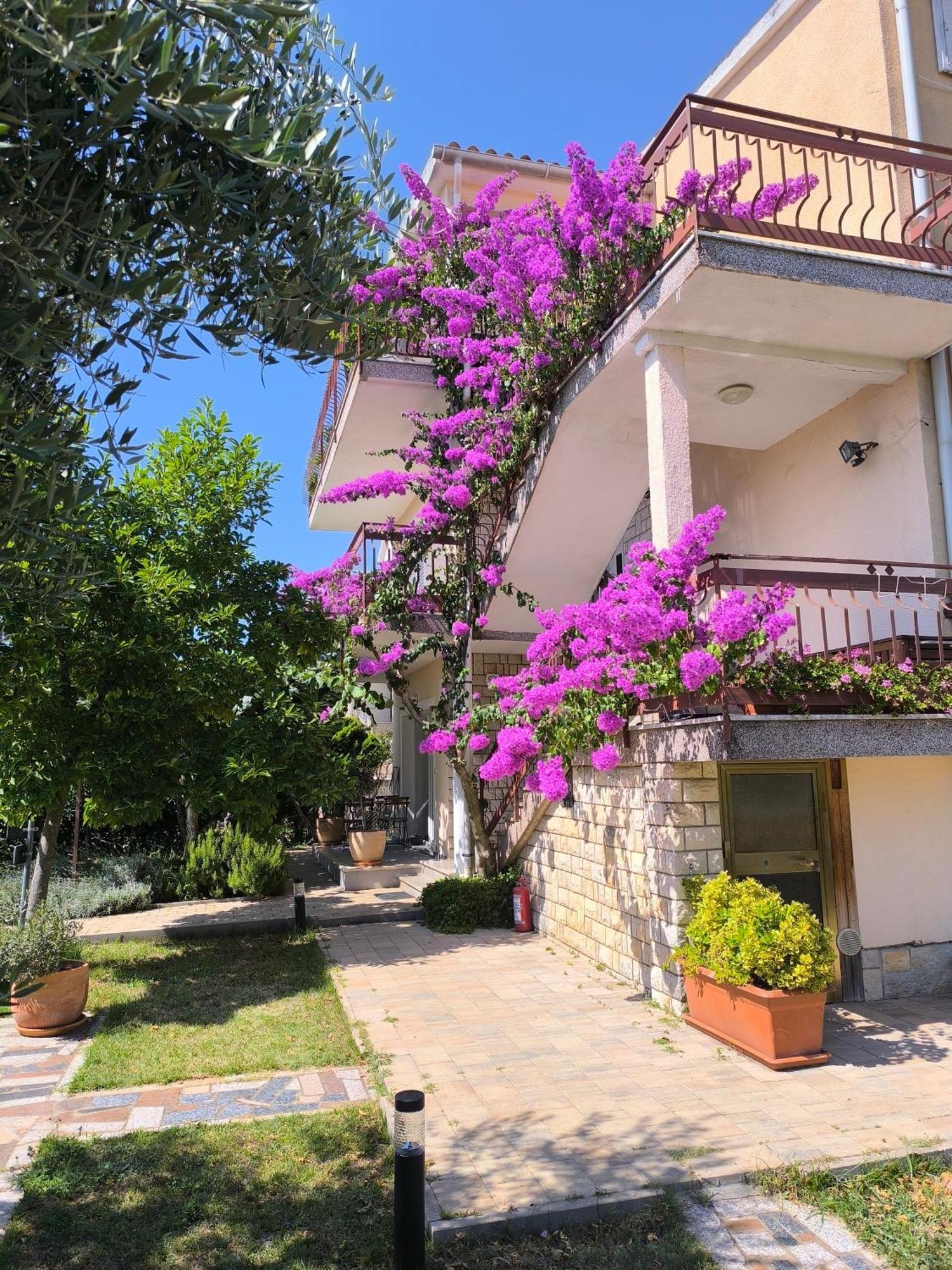 Apartments Lirio Umago Exterior foto