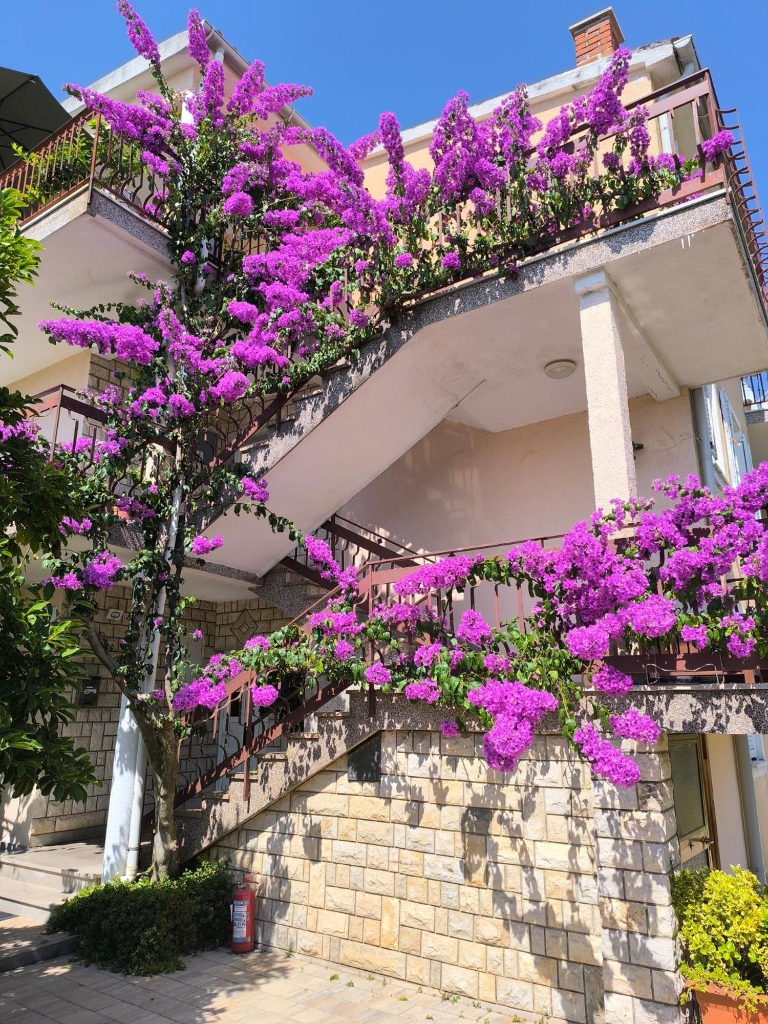 Apartments Lirio Umago Exterior foto